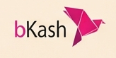 bKash icon